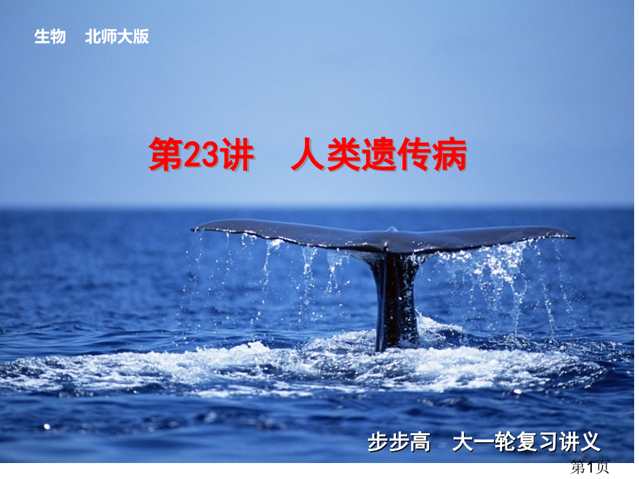 高中生物人教版第六单元第23讲人类遗传病省名师优质课赛课获奖课件市赛课一等奖课件.ppt_第1页