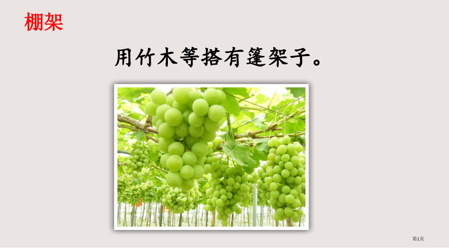 棚架市公共课一等奖市赛课金奖课件.pptx_第1页