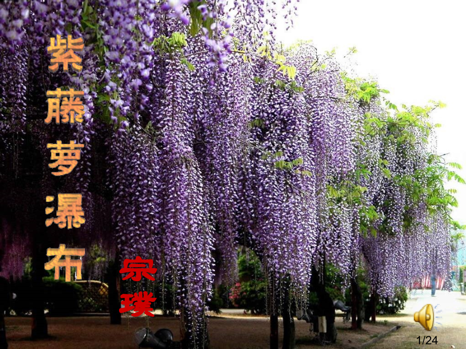 紫藤萝瀑布68133市公开课一等奖百校联赛优质课金奖名师赛课获奖课件.ppt_第1页