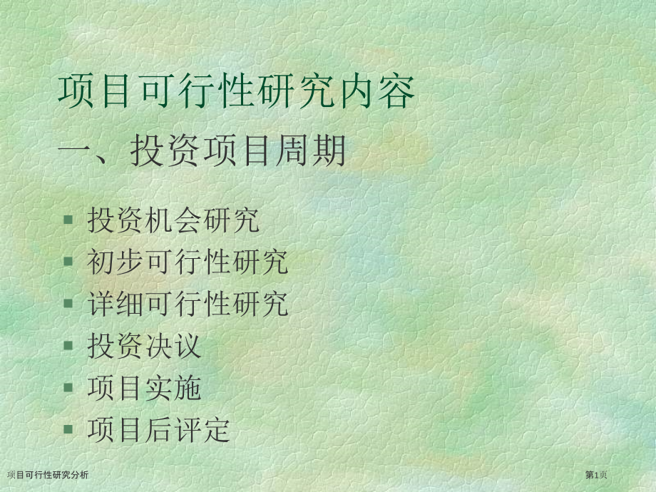 项目可行性研究分析.pptx_第1页