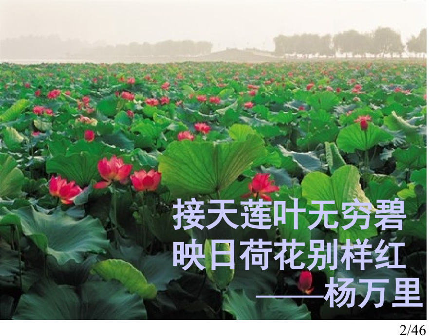 29湖心亭看雪课件市公开课获奖课件省名师优质课赛课一等奖课件.ppt_第2页