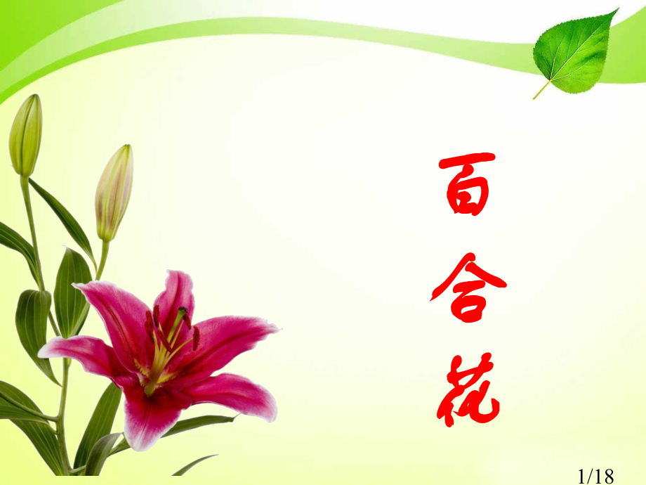 九年级语文下册-第15课《百合花》-宫光喜省名师优质课赛课获奖课件市赛课一等奖课件.ppt_第1页