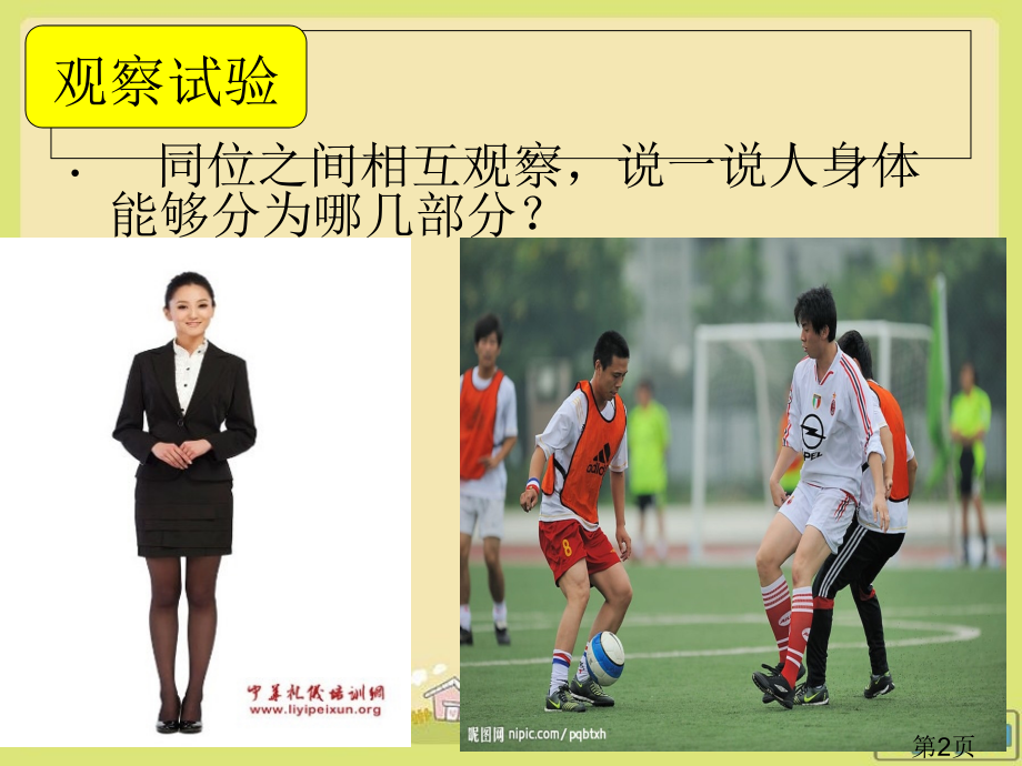 青岛版三年级下册科学我们的身体省名师优质课获奖课件市赛课一等奖课件.ppt_第2页
