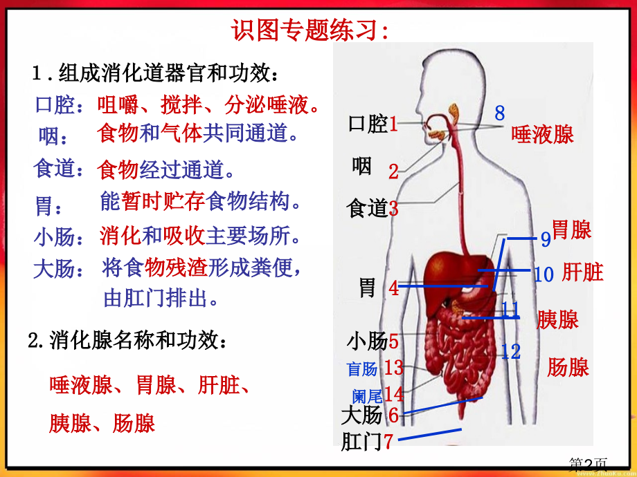 人教版初中生物会考重点图省名师优质课获奖课件市赛课一等奖课件.ppt_第2页