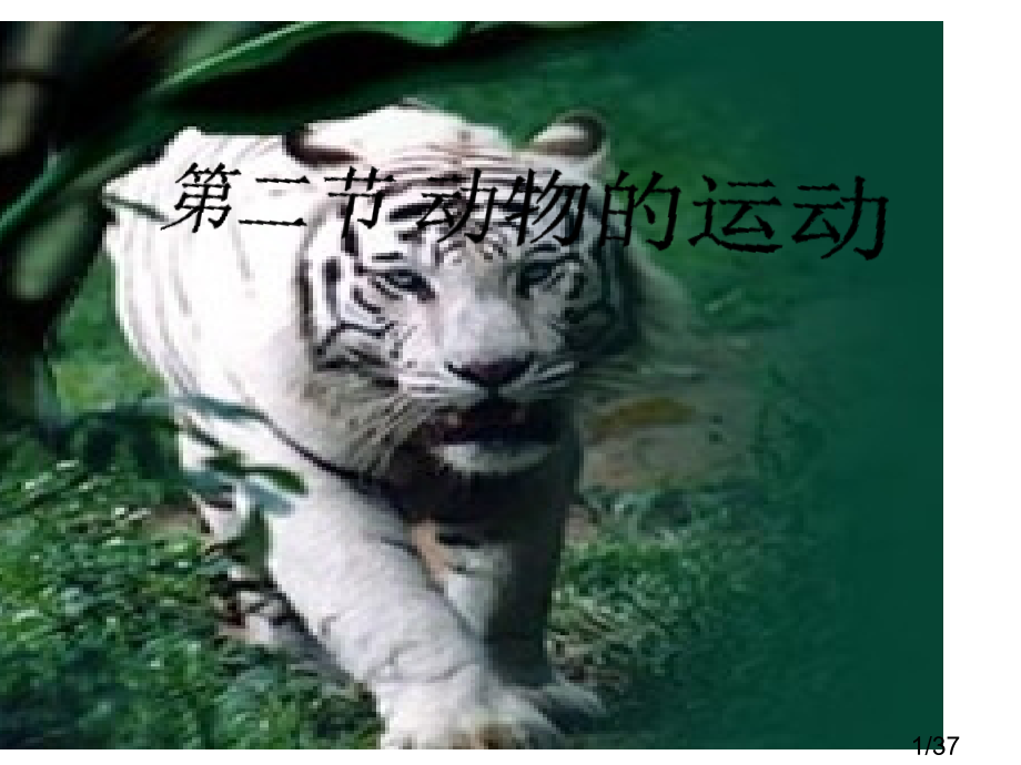 七年级生物上册-动物的运动--济南版省名师优质课赛课获奖课件市赛课一等奖课件.ppt_第1页
