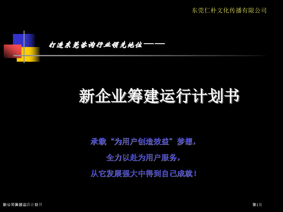 新公司筹建运营计划书.pptx_第1页