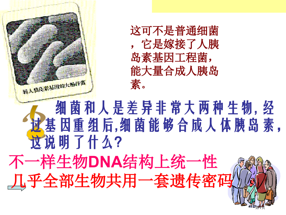 高中生物必修二第六章第2节基因工程及其应用示范课市公开课一等奖省优质课赛课一等奖课件.pptx_第1页