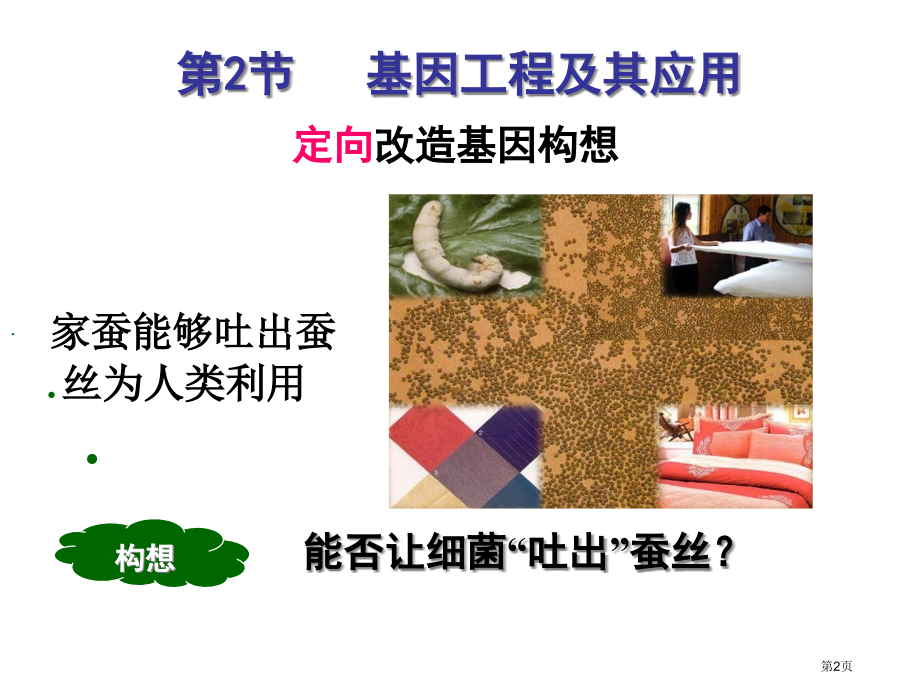 高中生物必修二第六章第2节基因工程及其应用示范课市公开课一等奖省优质课赛课一等奖课件.pptx_第2页