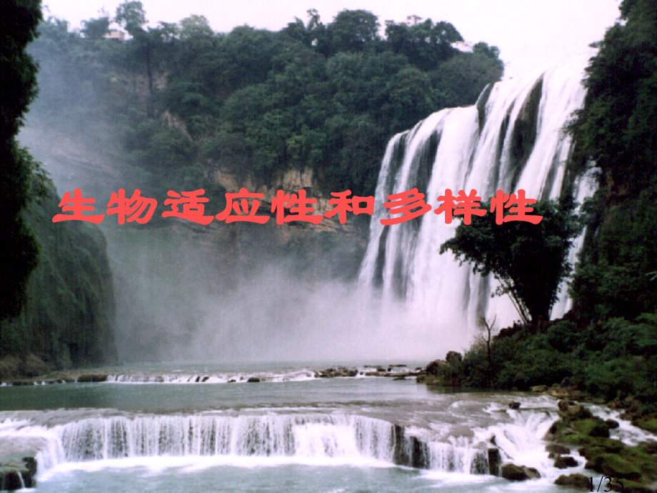 生物的适应性省名师优质课赛课获奖课件市赛课百校联赛优质课一等奖课件.ppt_第1页