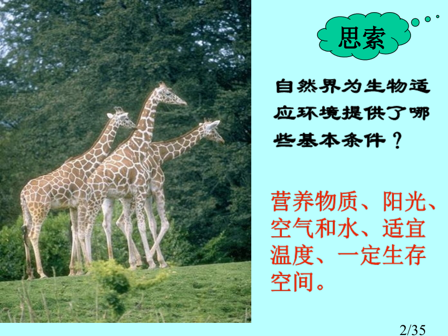 生物的适应性省名师优质课赛课获奖课件市赛课百校联赛优质课一等奖课件.ppt_第2页