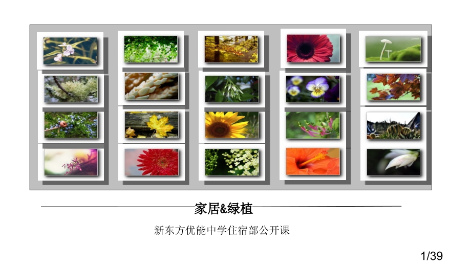 公开课-PPT-张晓倩省名师优质课赛课获奖课件市赛课百校联赛优质课一等奖课件.ppt_第1页
