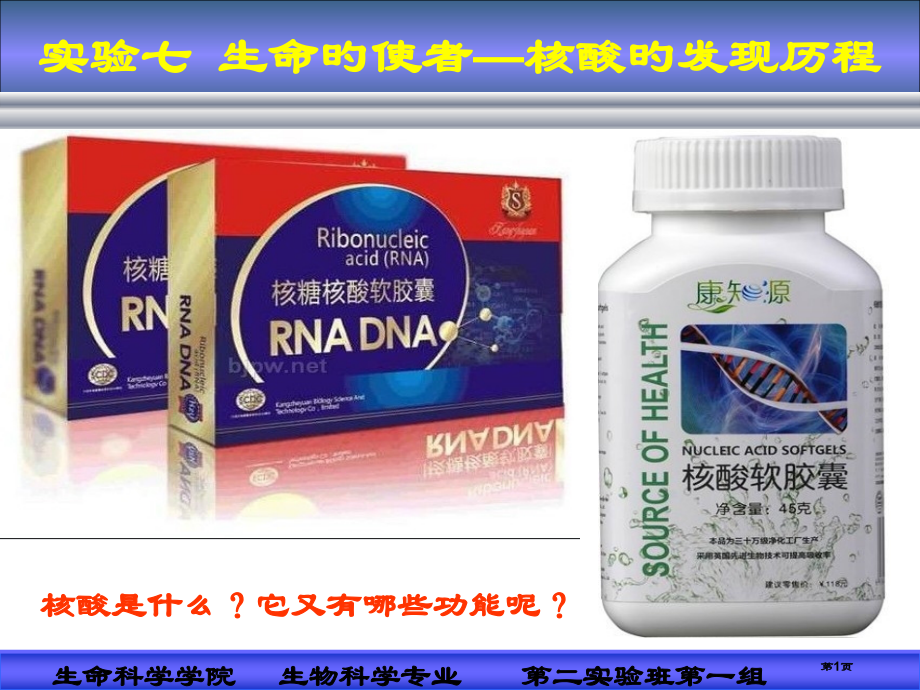 新版生物教学论核酸的发现历程省名师优质课赛课获奖课件市赛课百校联赛优质课一等奖课件.pptx_第1页