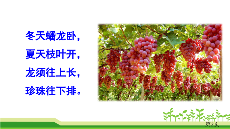 11葡萄沟部编版省名师优质课获奖课件市赛课一等奖课件.ppt_第2页