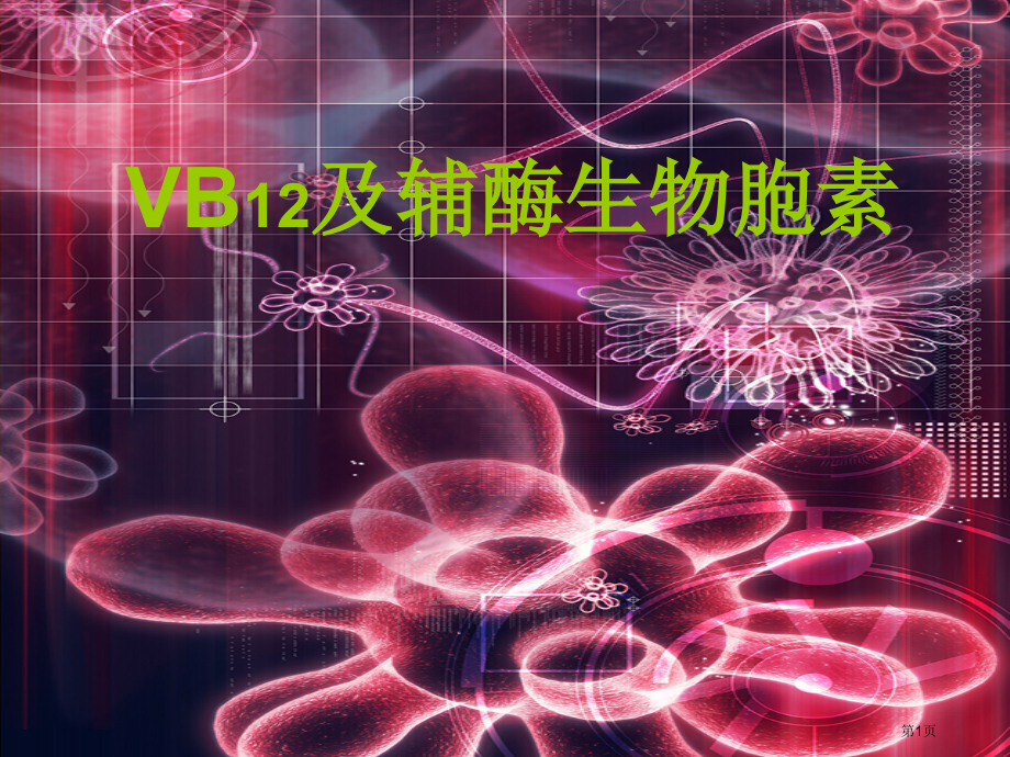 vb及辅酶生物胞素省名师优质课赛课获奖课件市赛课百校联赛优质课一等奖课件.pptx_第1页