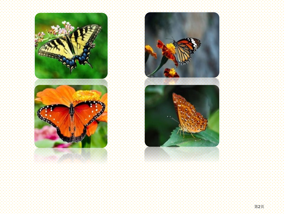 新版8蝴蝶的家市名师优质课比赛一等奖市公开课获奖课件.pptx_第2页