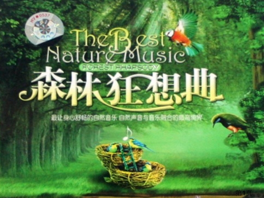 《森林狂想曲》.省名师优质课赛课获奖课件市赛课一等奖课件.ppt_第1页