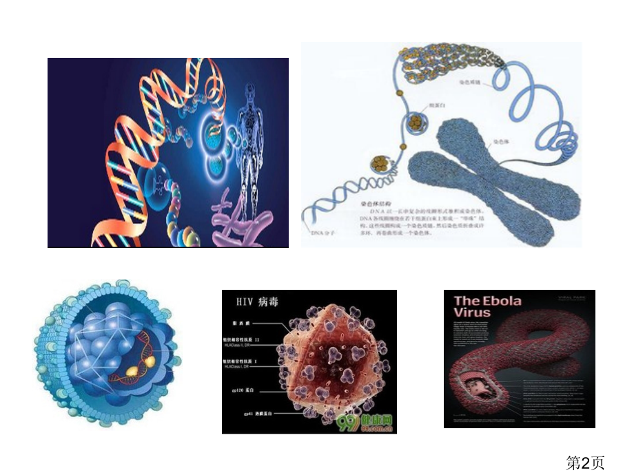 分子生物学常用检测技术名师优质课获奖市赛课一等奖课件.ppt_第2页