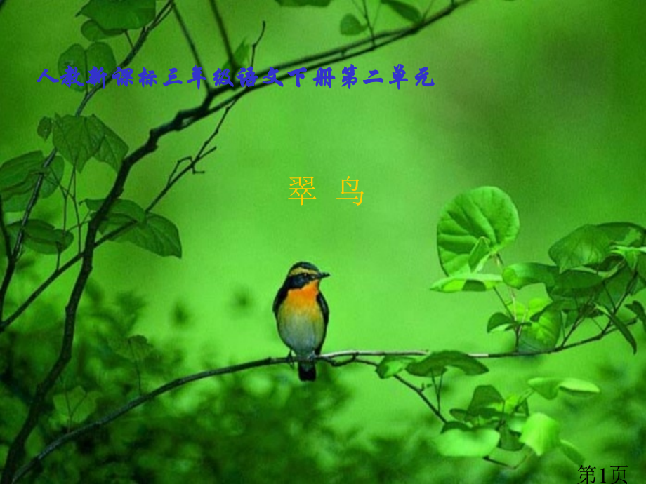 人教新课标三年级语文下册《翠鸟-5》省名师优质课赛课获奖课件市赛课一等奖课件.ppt_第1页
