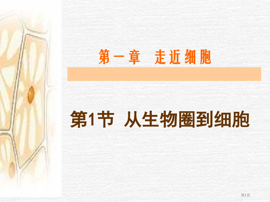 新版从生物圈到细胞省名师优质课赛课获奖课件市赛课百校联赛优质课一等奖课件.pptx_第1页