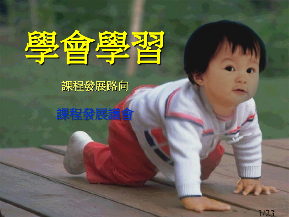 学会学习课程发展路向课程发展议会市公开课获奖课件省名师优质课赛课一等奖课件.ppt_第1页