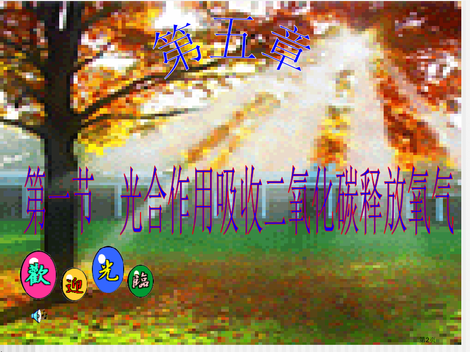 七年级生物上册3.5.1光合作用吸收二氧化碳释放氧气市公开课一等奖省优质课赛课一等奖课件.pptx_第2页