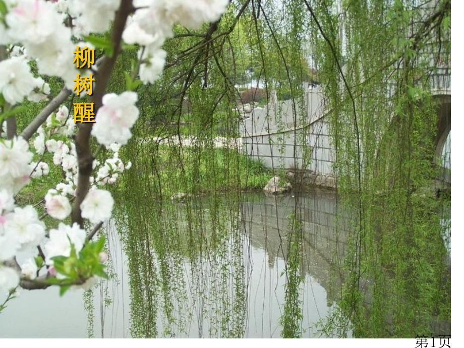 人教新课标一年级语文下册1《柳树醒了-2》讲义省名师优质课赛课获奖课件市赛课一等奖课件.ppt_第1页