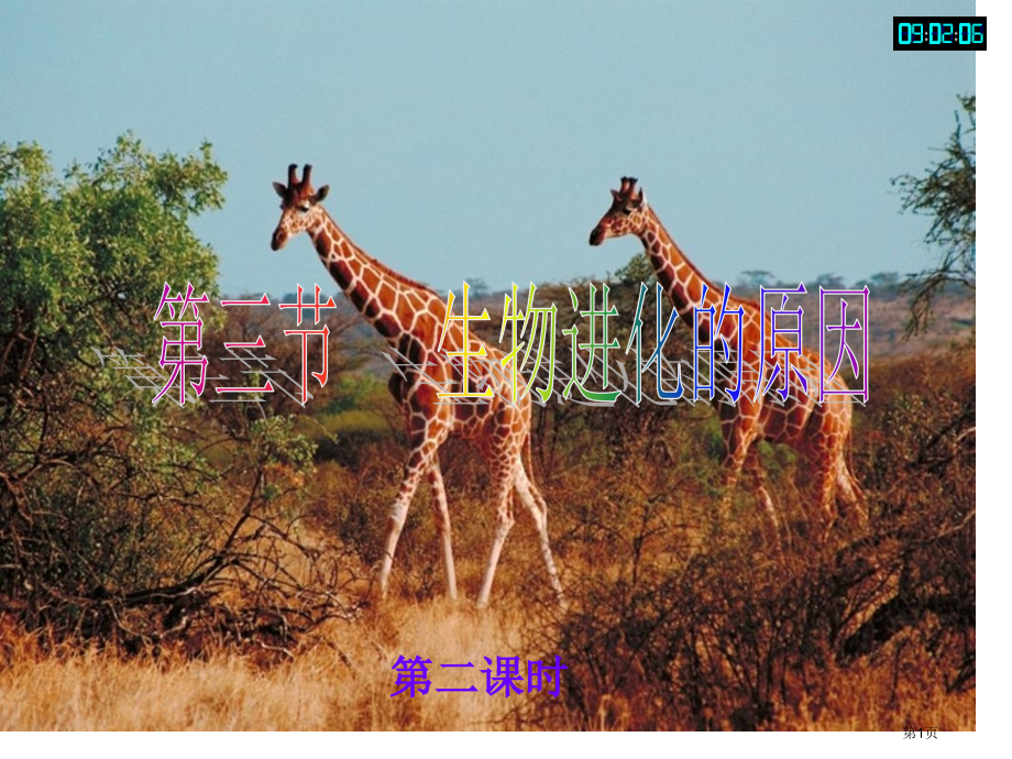 八年级下册第三节生物进化的原因市公开课一等奖省优质课赛课一等奖课件.pptx_第1页