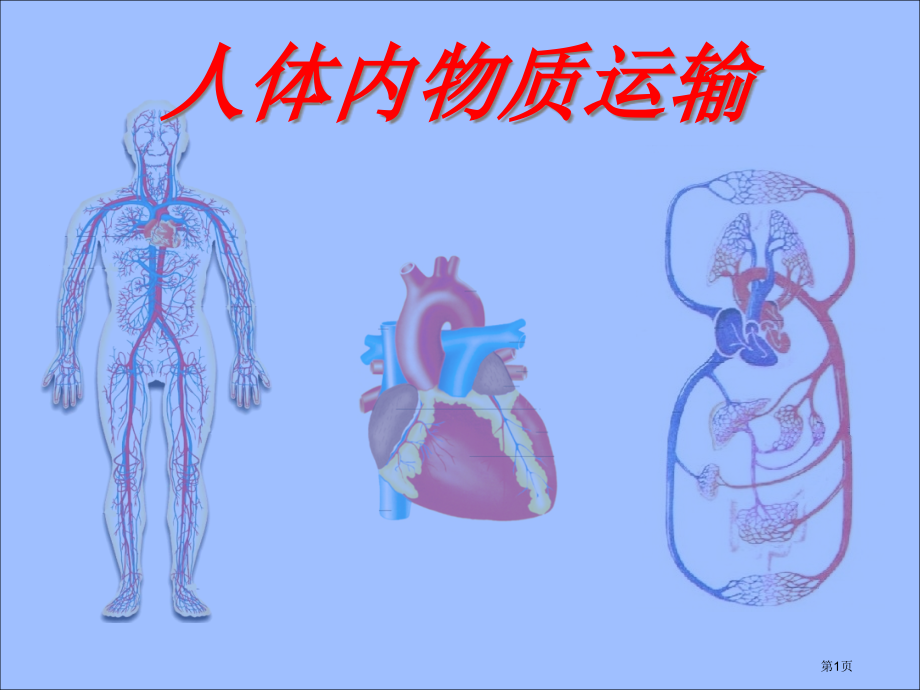 人体内物质的运输市公开课一等奖省优质课赛课一等奖课件.pptx_第1页