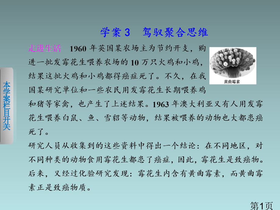 导学设计-高二政治同步专题四3(新人教版选修4)省名师优质课赛课获奖课件市赛课一等奖课件.ppt_第1页