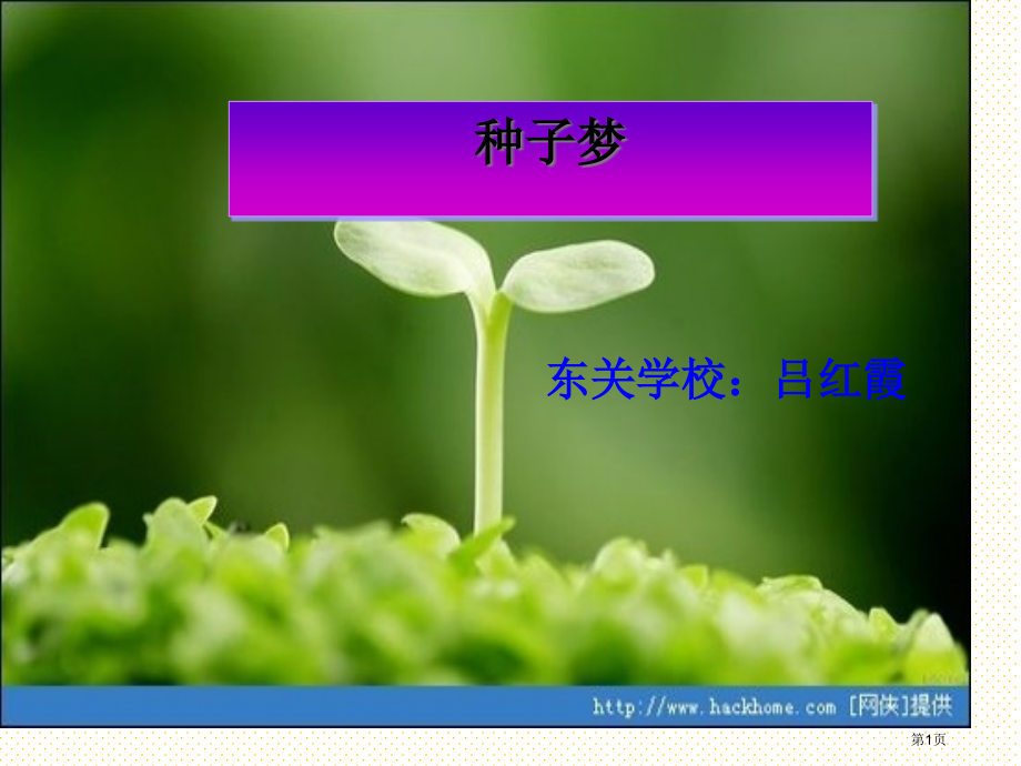 种子的梦第二课时市名师优质课比赛一等奖市公开课获奖课件.pptx_第1页