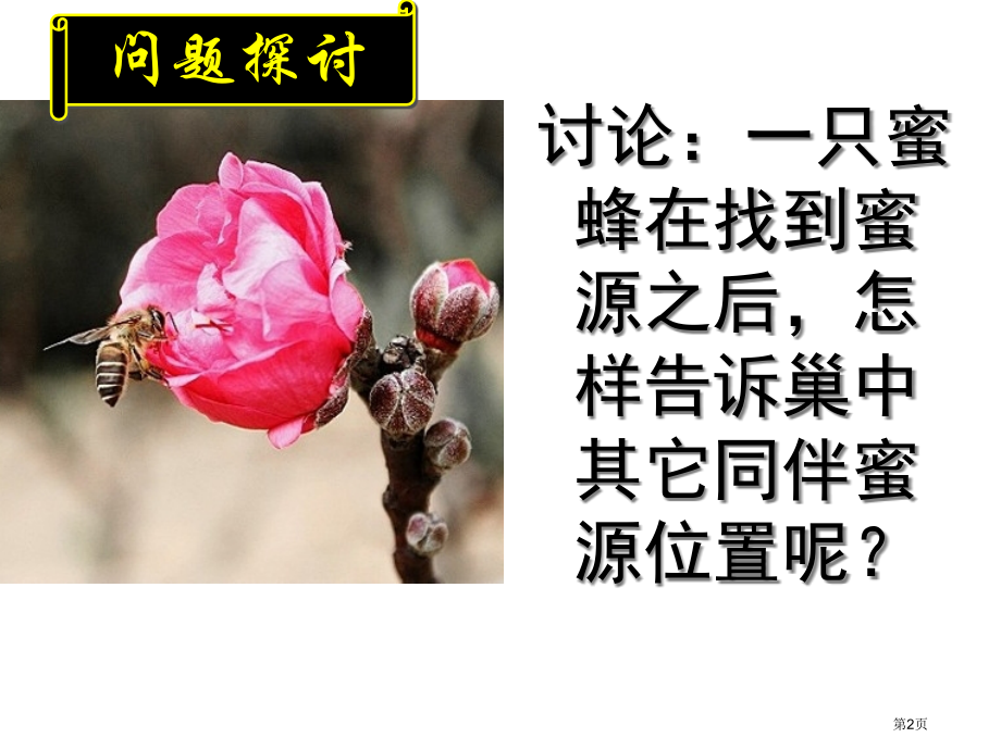 高中生物必修三第五章第4节生态系统的信息传递优秀示范课市公开课一等奖省优质课赛课一等奖课件.pptx_第2页