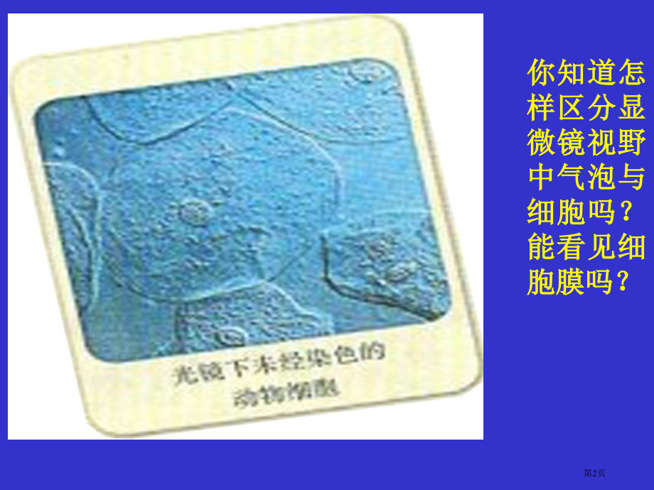 高中生物必修一3.1细胞膜系统的边界市公开课一等奖省优质课赛课一等奖课件.pptx_第2页