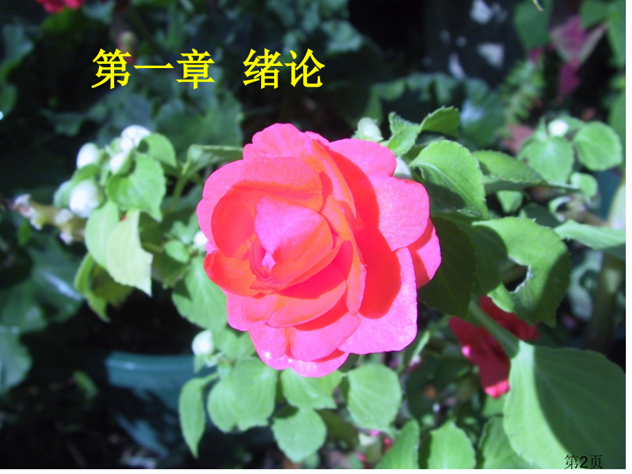 现代分子生物学省名师优质课获奖课件市赛课一等奖课件.ppt_第2页