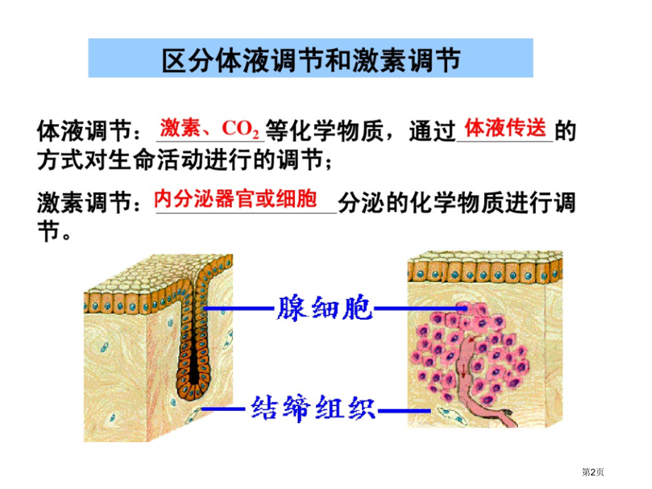 通过激素的调节第一轮复习省名师优质课赛课获奖课件市赛课百校联赛优质课一等奖课件.pptx_第2页