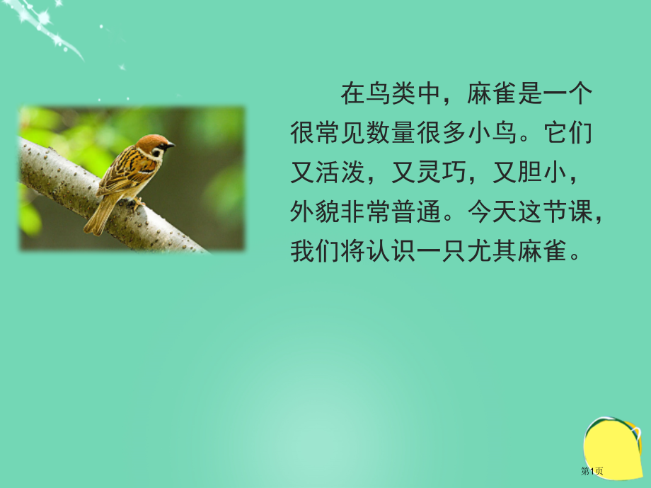 麻雀课件市名师优质课比赛一等奖市公开课获奖课件.pptx_第1页