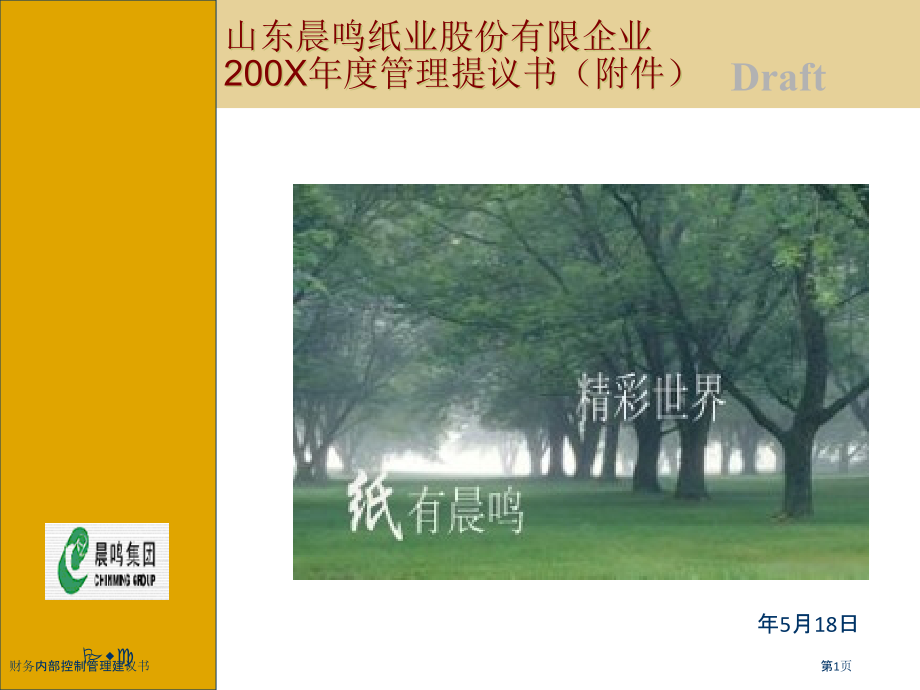 财务内部控制管理建议书.pptx_第1页