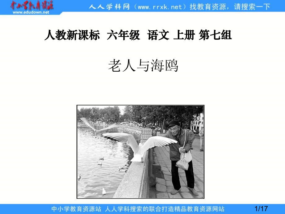 鲁教版五年级下册老人与海鸥课件1市公开课获奖课件省名师优质课赛课一等奖课件.ppt_第1页