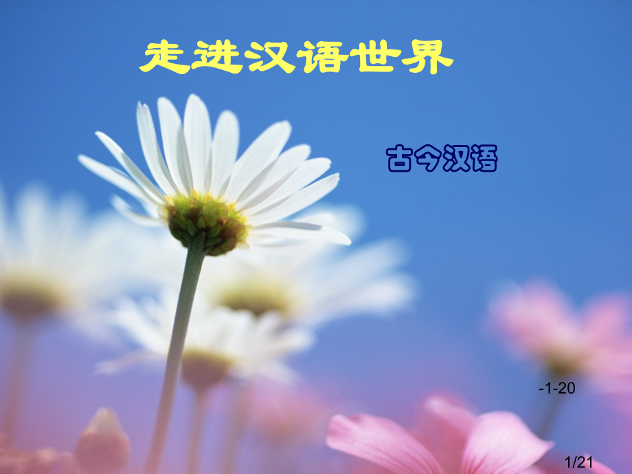 走进汉语的世界(2)市公开课一等奖百校联赛优质课金奖名师赛课获奖课件.ppt_第1页