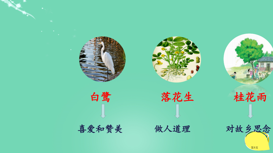 珍珠鸟课件市名师优质课比赛一等奖市公开课获奖课件.pptx_第1页