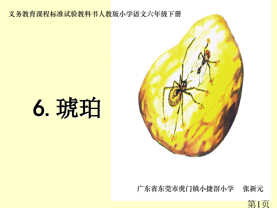 《琥珀》2省名师优质课赛课获奖课件市赛课一等奖课件.ppt_第1页