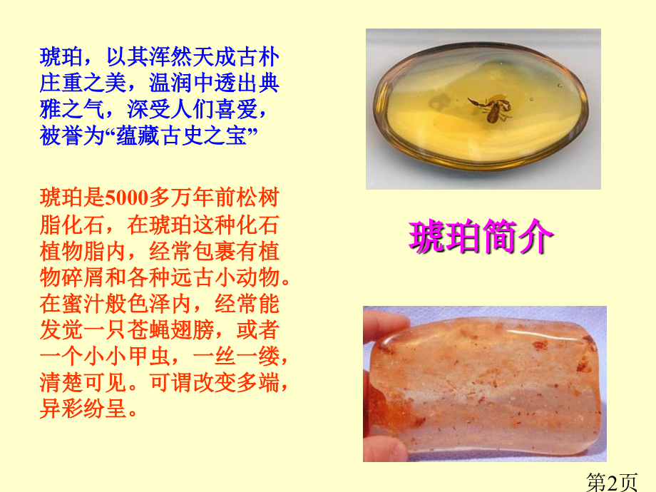 《琥珀》2省名师优质课赛课获奖课件市赛课一等奖课件.ppt_第2页
