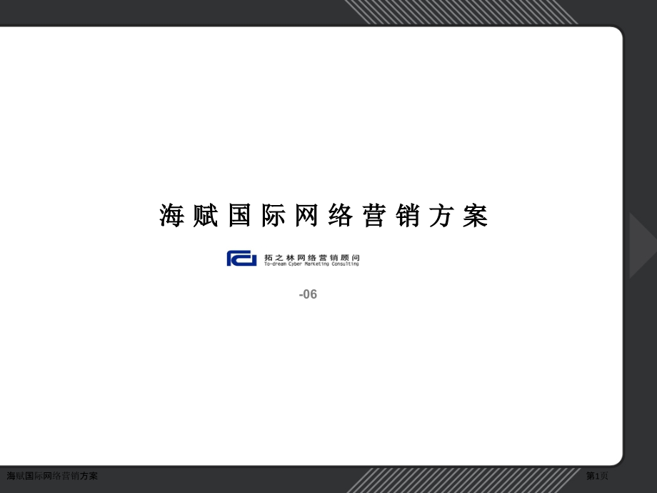 海赋国际网络营销方案.pptx_第1页