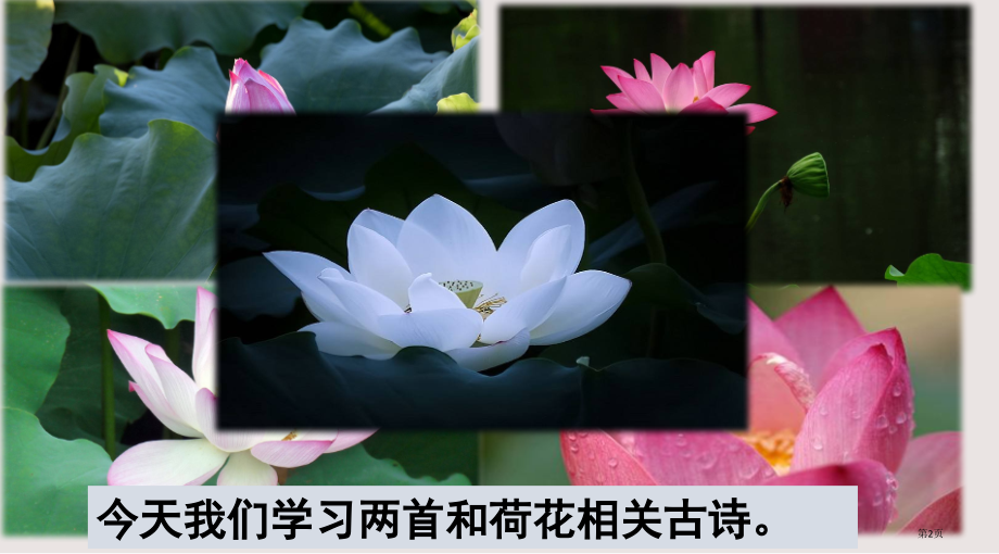 部编版一年级下册第12课古诗二首市公共课一等奖市赛课金奖课件.pptx_第2页