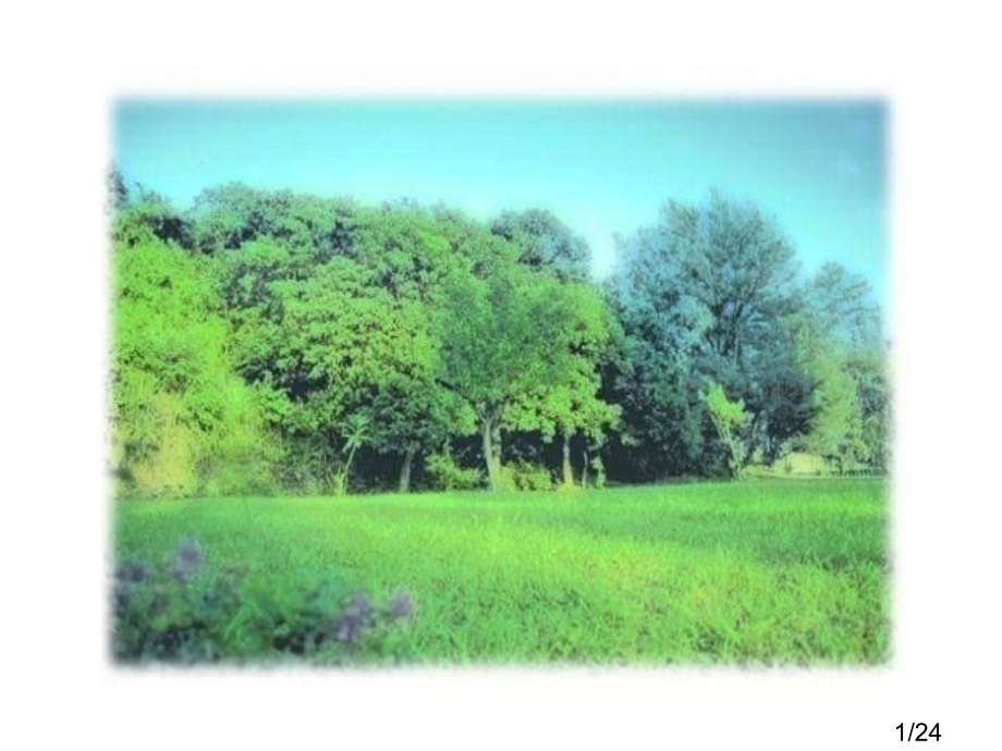 高二语文说木叶省名师优质课赛课获奖课件市赛课一等奖课件.ppt_第1页