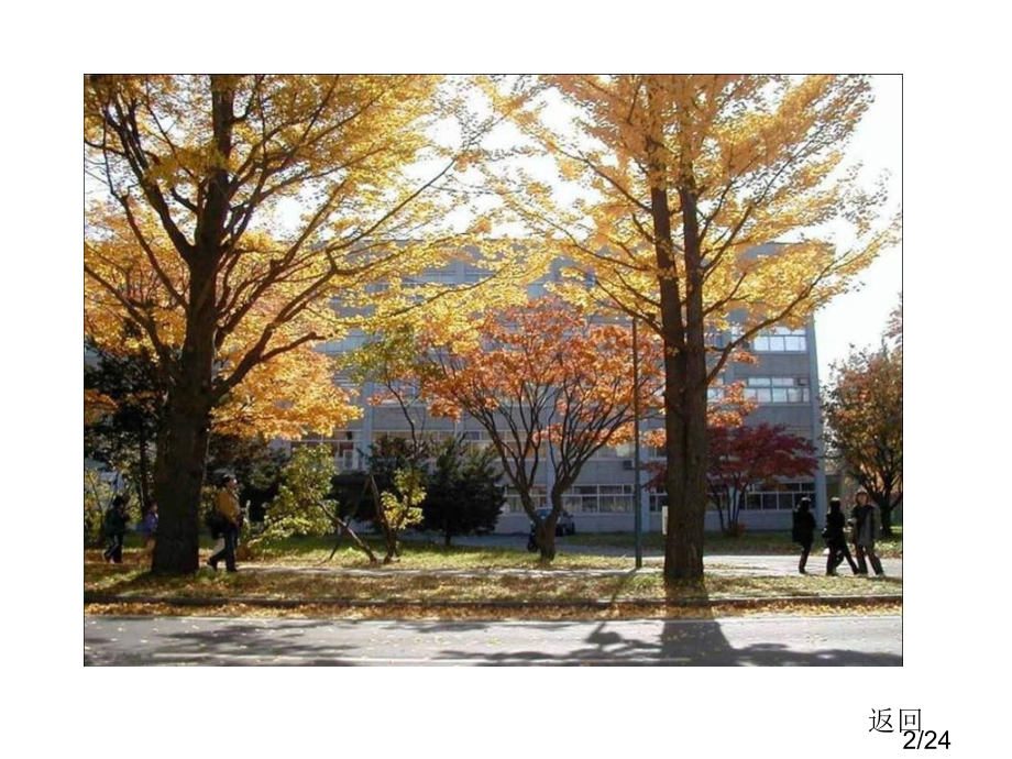 高二语文说木叶省名师优质课赛课获奖课件市赛课一等奖课件.ppt_第2页