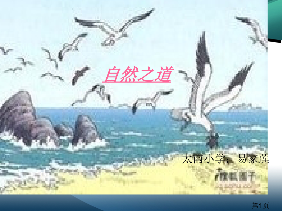四年级语文自然之道省名师优质课赛课获奖课件市赛课一等奖课件.ppt_第1页