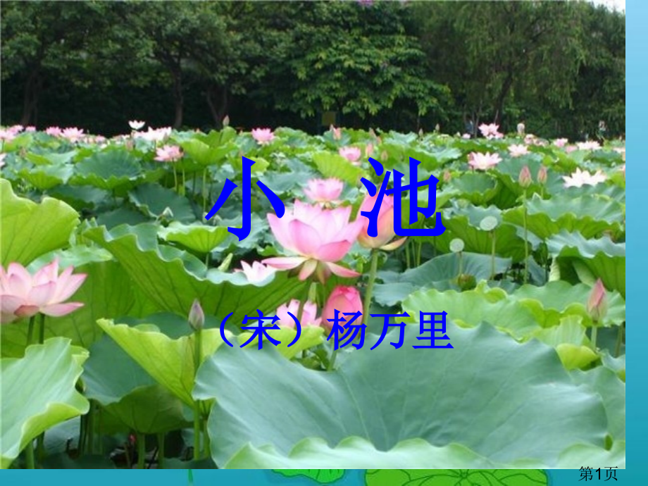 古诗杨万里《小池》专业名师优质课获奖市赛课一等奖课件.ppt_第1页