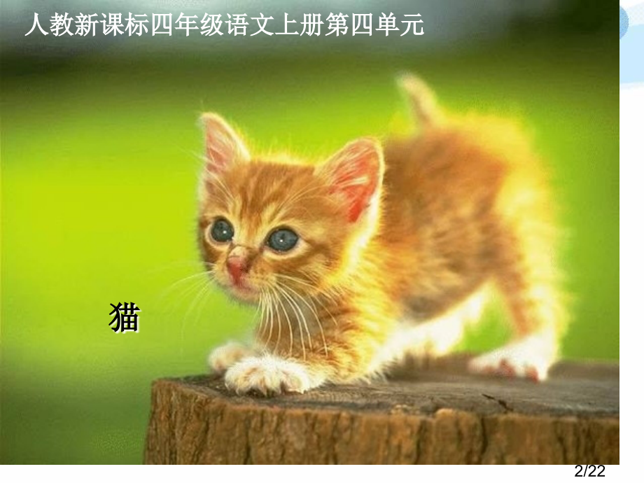 人教版四年级上册《猫》省名师优质课赛课获奖课件市赛课一等奖课件.ppt_第2页