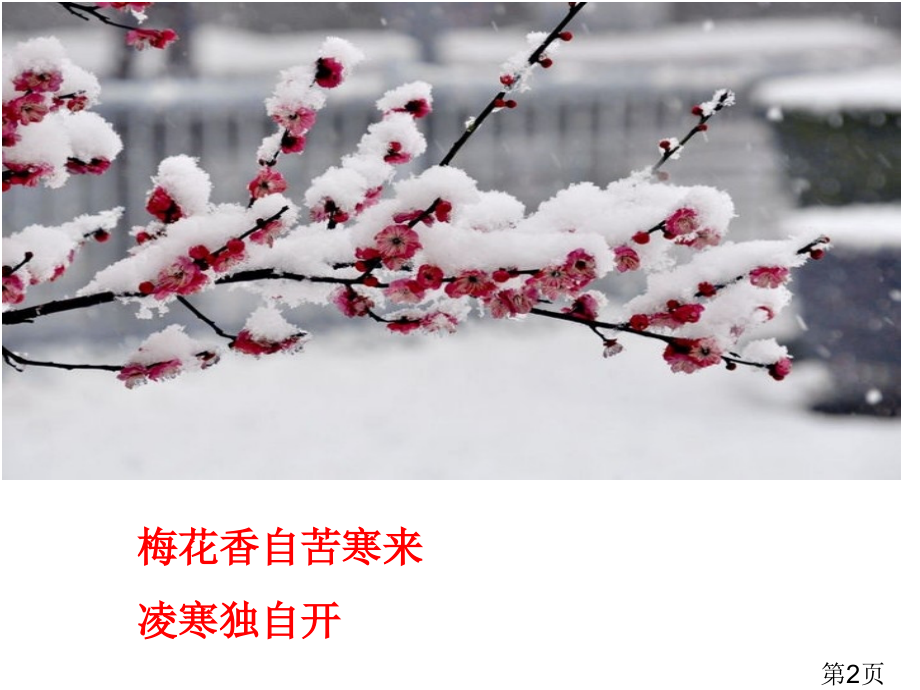 《紫藤萝瀑布》唯美版省名师优质课赛课获奖课件市赛课一等奖课件.ppt_第2页