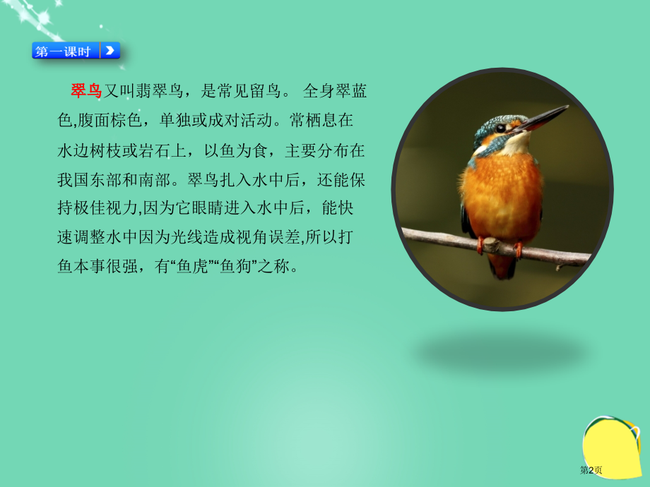 搭船的鸟课件市名师优质课比赛一等奖市公开课获奖课件.pptx_第2页